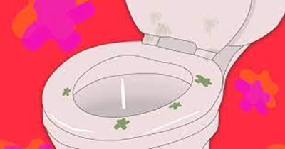 toliet seat_ toliet seat_
