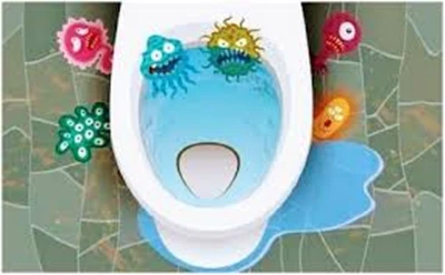 cleaning toliet seat_ cleaning toliet seat_